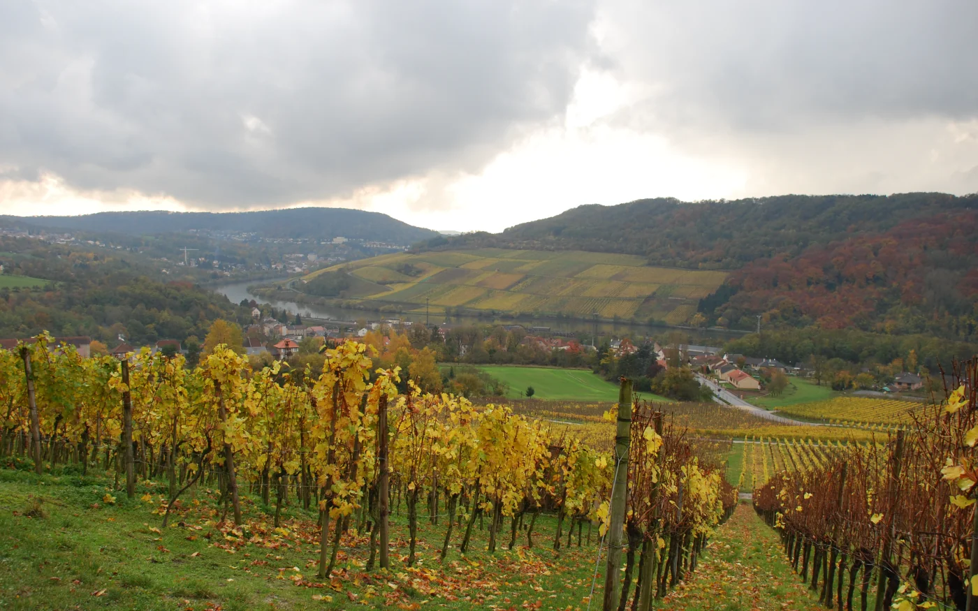 Weinberge und Mosellandschaft bei Perl im Saarland nahe Luxemburg